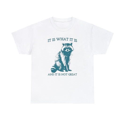 It Is What It Is And It Is Not Great Raccoon Meme Shirt – Vintage Funny Sarcastic Tee